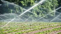 Agricultural Sprinkler