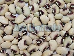 Cowpeas