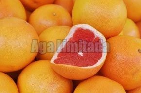 Grapefruits