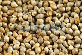 Food Grains & Cereals