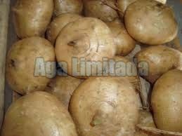Yam Beans