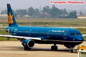 Air Freight Services