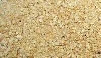 soybean meal