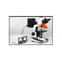 Flouroscent Microscope