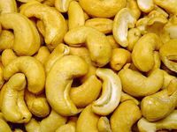 cashew nut cashew nut