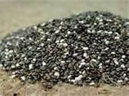 chia seed chia seed