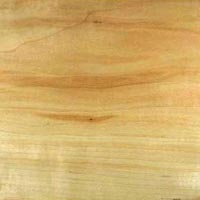 Timber Wood Veneer