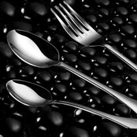 Safari Stainless Steel Cutlery Set