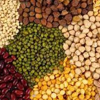 indian pulses