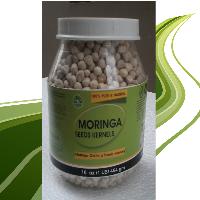 Moringa Seed Kernel