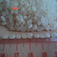 Round Rice, Japonica Rice