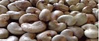 Raw Cashewnut Shells