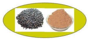 Fagopyrum Tataricum Extract