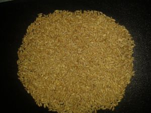25-50kg wheat, Packaging Type : Brown-Yellow, Shelf Life : 1yrs
