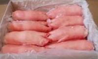 Frozen Pork Feet, Frozen Pork Meat