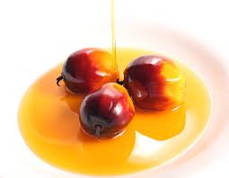 palm oil palm oil