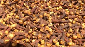 cloves