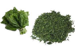 spinach leaves