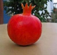 Sendry Pomegranate