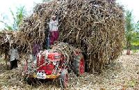 agriculture waste
