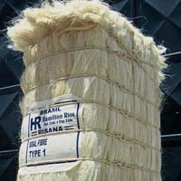 Sisal Fiber -Type 1