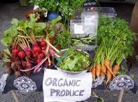 Organic foods