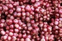 red onion For Food