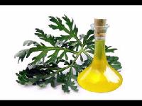 Artemisia oil