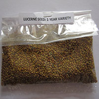 Cattle Grass Seed