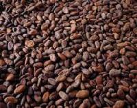 edible oil,  Shelf Life : 12 Months