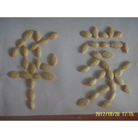 shihua pumpkin seeds