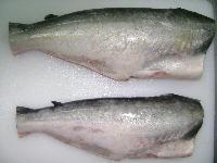 Frozen Pangasius HGT Frozen Pangasius HGT
