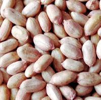 Peanut Kernels, Groundnut