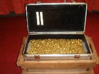 Gold Nuggets In Acase Gold Nuggets In Acase
