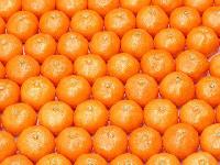 Fresh Mandarin Orange