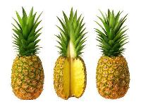 Fresh Pineapple