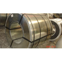 Galvanized Steel Coil