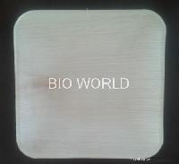 Biodegradable Leaf Plates
