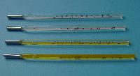 Clinical Thermometer Oral, Rectal