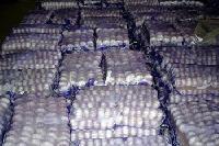 Garlic,  Storage : Cool, Dry Place