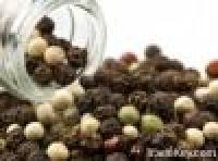 Dried Spices, Grains