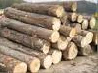 Hardwood Timber, Lumbers