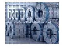 Galvanized Steel Coil Jis En Standard