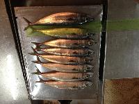 Morocco Frozen Mackerel Morocco Frozen Mackerel