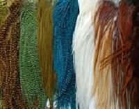 Roll Forming & Bending Machines