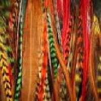 Grizzly Rooster Feathers