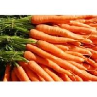 fresh carrots