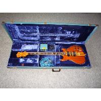 Electric Bass Guitars