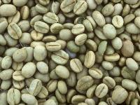 Roasted Arabica Coffee