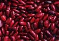 Common Red Beans, Packaging Type : Light Brown for Cooking